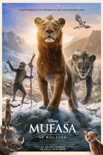 Affiche de film disponible en VOD 8